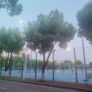 鱼粉Q弹