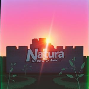 Budzik- polityczne sprzątanie