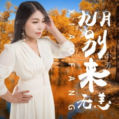 九月别来无恙 (DJ月之歌版)