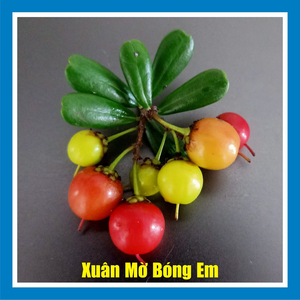 Xuân Mờ Bóng Em