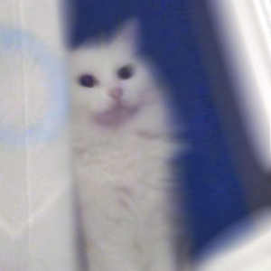 那你嘞