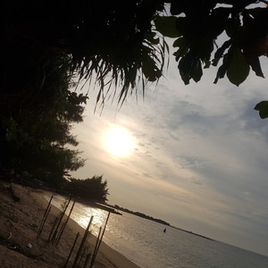 Fiktif