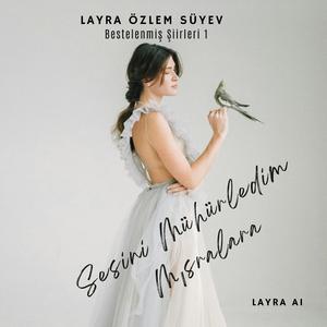 Gözlerinin Renginde Bir Kehribar Buldum Vol.2