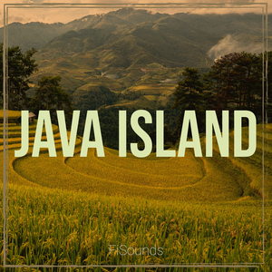 Java Island