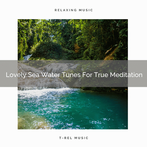 Lovely Sea Water Vibes For Meditation