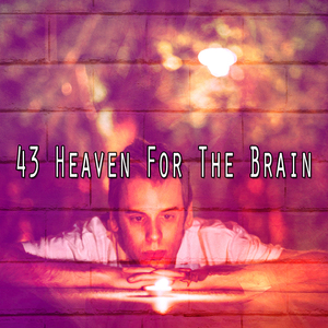 Break Away From Monotony