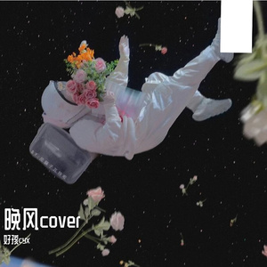 晚风(cover Copy&BT07-PZ)