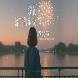 烟花落下的那天