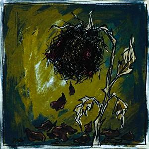 저 꽃은 이미 져버렸는데