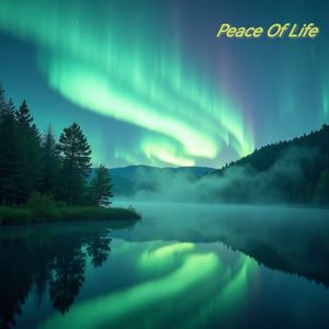 Peace Of Life （Radio Edit ）