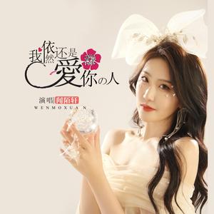 我依然还是深爱你的人