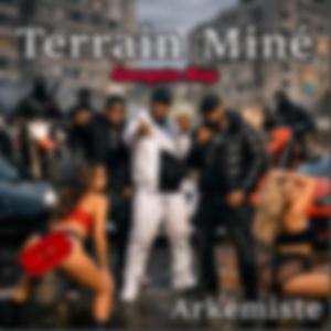 Terrain Miné