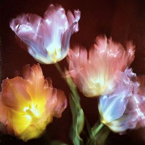 [FREE]Smooth R&B Guitar Beat “ZXH”