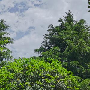 一如年少模样(cover,陈鸿宇)