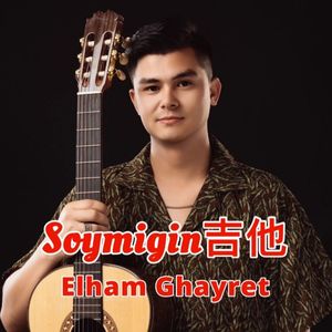 Soymigin吉他