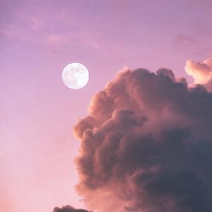 你走（翻自 松紧先生（李宗锦））