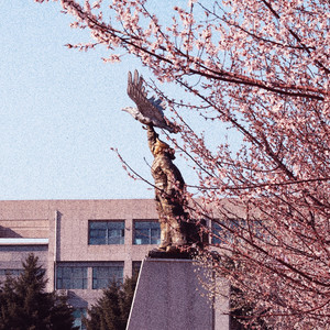 Dreamboat（prod.ATTBEAT）