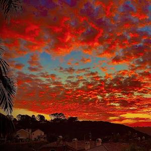Paradise