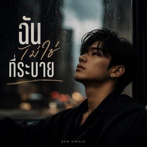 ฉันไม่ใช่ที่ระบาย