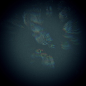 Vi kommer aldrig till backa