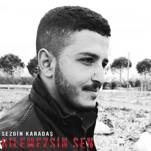 Bilemezsin Sen (Sezgin Karadaş)