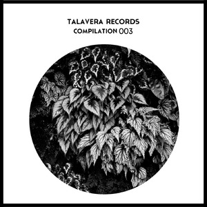 Koto Nel Posto Delle Fragole