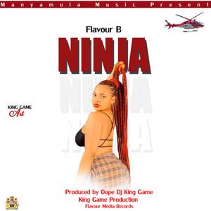 Ndapezako ninja