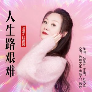 人生路艰难 (DJ版)