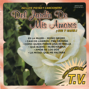 Nuve Viajera (Pista) Karaokee)