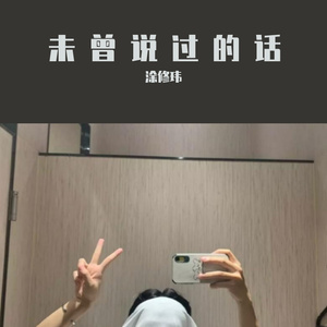 未曾说过的话
