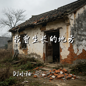 我曾生长的地方(DJ版)