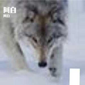 月下竹林的清风雅韵