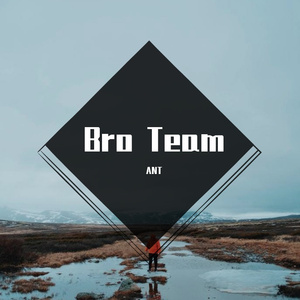Bro Team
