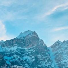 那就说声再见吧