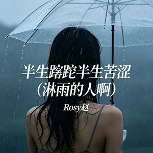 半生蹉跎半生苦涩（淋雨的人啊）
