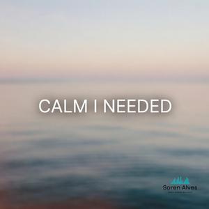 Calm I Needed (uplifting deep house)