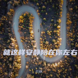 就这样安静陪在你左右