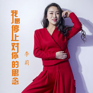 我想停止对你的思念