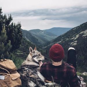 call me maybe+without me