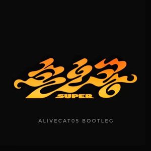 AliveCat05-SEVENTEEN- (Super)(AliveCat05 remix)