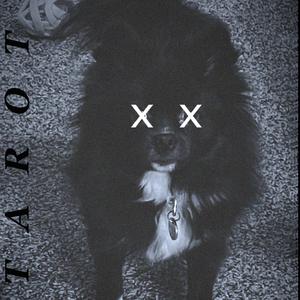 Tarot