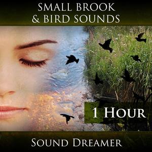 Small Brook and Bird Sounds - 1 Hour