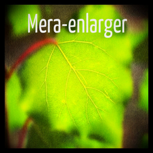 Enlarger (Original Mix)