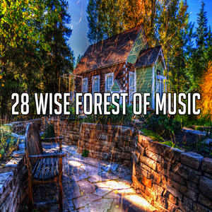 大自然的和平禮物