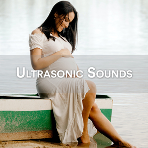 Heart Baby Bear (Newborn Sleep Sound)