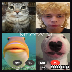 MŁODY M