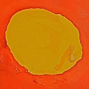 Electric nightingale 电夜莺