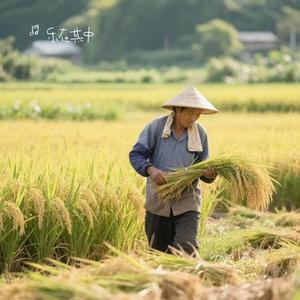 农民与土地