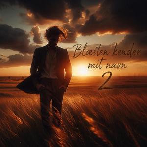 Det vi ikke sagde