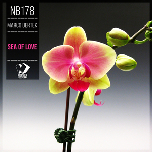 Sea of Love (Original Mix)